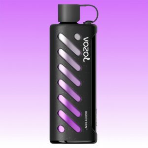 Vozol Gear Shisha 25000 Berry Mint - Vozol Store España