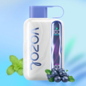 Vozol Star 40k Blueberry Mint - Vozol Store España