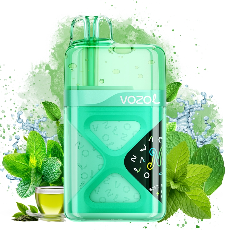 Vozol Neon 60000 Iced mint tea - Vozol Store España