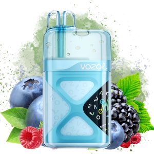 Vozol Neon 60000 Mixed Berry - Vozol Store España