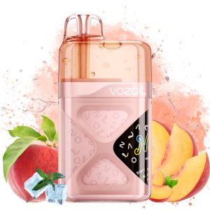 Vozol Neon 60000 Peach Ice - Vozol Store España