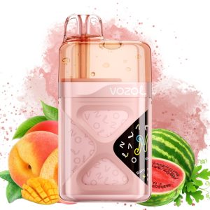 Vozol Neon 60000 Peach Mango Watermelon - Vozol Store España
